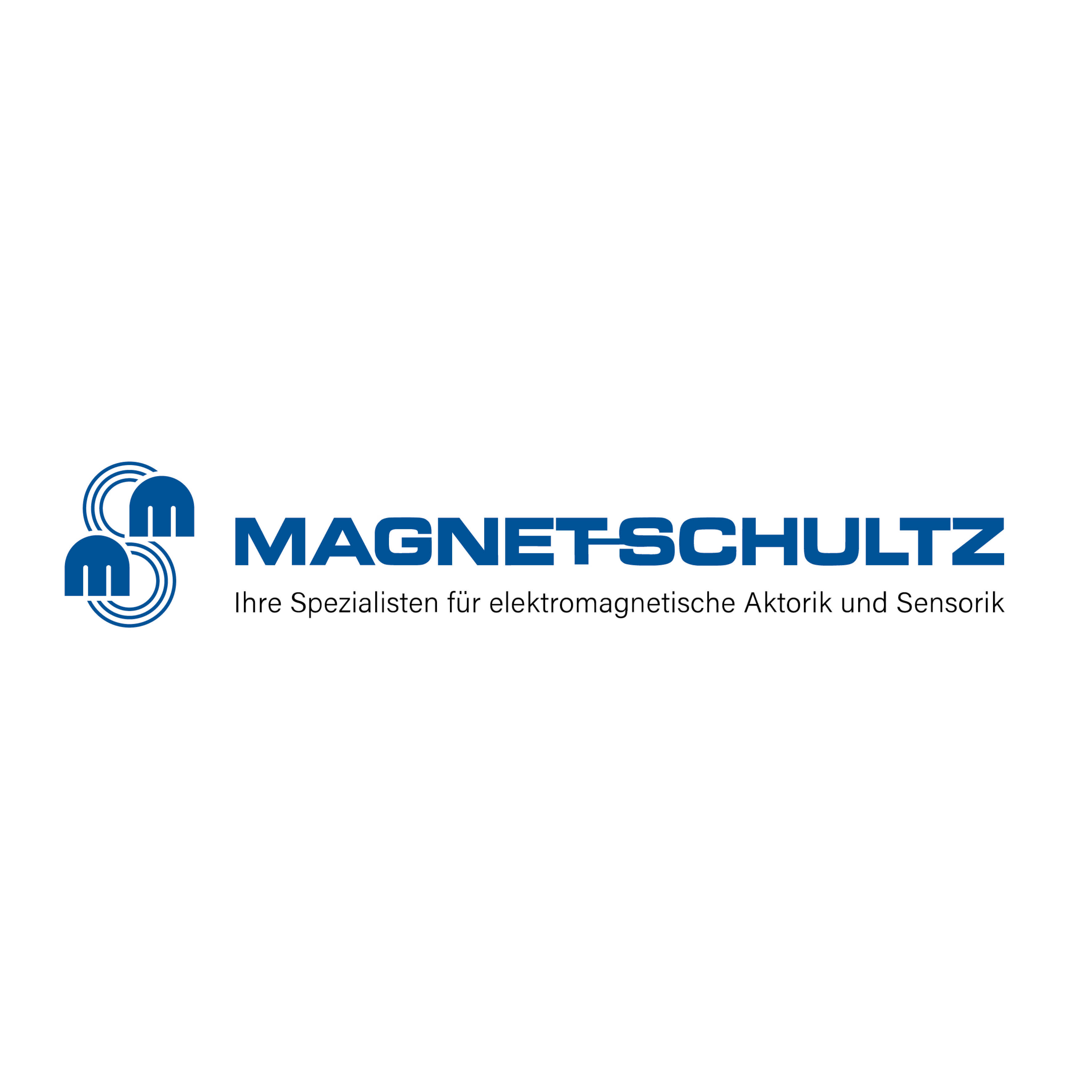 Magnetschutz